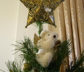 てっぺんの星と熊さんはお気に入り