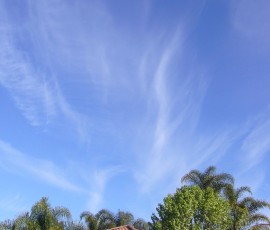 我が家に戻ると、空が真っ青