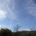 久しぶりに見た飛行機雲