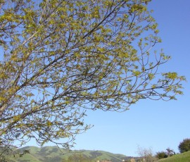 生命の息吹を感じる