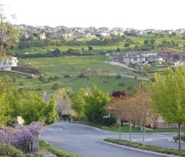 春は何もかも輝く