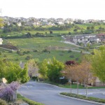 春は何もかも輝く