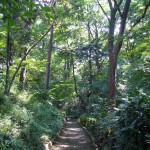 こんもりとした森を持つ東京・港区の有栖川宮記念公園