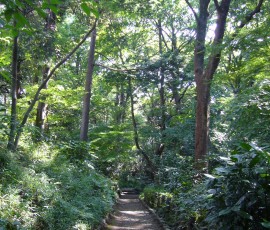 こんもりとした森を持つ東京・港区の有栖川宮記念公園