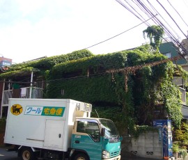 緑に覆われた家!ちょっとは涼しいのかな?