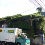 緑に覆われた家!ちょっとは涼しいのかな?