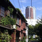 夏らしいワンショット