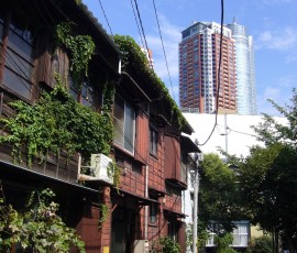 夏らしいワンショット