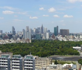 北に見えるは青山霊園と新宿のスカイライン