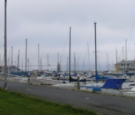 サンフランシスコのマリーナ地区。ヨットの向こうには、ゴールデンゲート橋(のはずですが・・・)