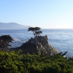 観光名所となっているLone Cypress(一本ヒノキ)