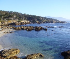 太平洋を臨む見晴し台(向こうの森には、元クリント・イーストウッド邸が隠れる)