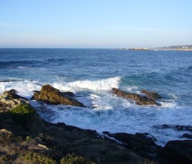 この日は、めずらしく海が穏やか