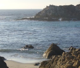 海に浮かぶは、その名もバード・ロック(鳥の岩)