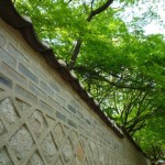 目に染み入るような若葉