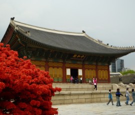 かわってこちらは、徳寿宮(トクスグン)の中和殿