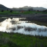 湿地帯が自然保護区になっています