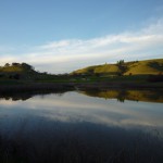 もうすぐ開かれるプロのトーナメントでは、この池を超え、はるか向こうのワイナリーまで