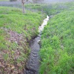 雨の季節は、小川も復活します