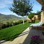 こんなにいい天気です