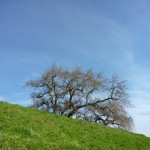 冬なのに、日光がまぶしい