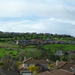 雨季になると、部屋からの眺めも一面の緑