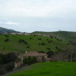 緑の丘はのどかな風景