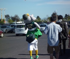 Asのマスコット「ストムパー」のぬいぐるみを持ち帰る