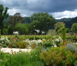 ぶどう畑を望む広い裏庭