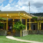 レストラン裏手の日よけがカラフル