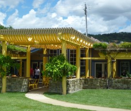 レストラン裏手の日よけがカラフル