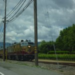 幹線道路29号線の脇を走る「ナパ・ワイン列車」