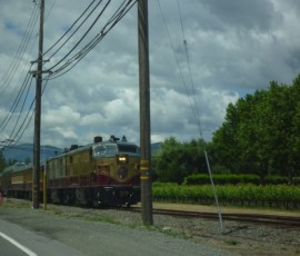 幹線道路29号線の脇を走る「ナパ・ワイン列車」