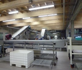 まずは人の手で選り分けたあと