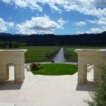 まわりは全部、自分のぶどう畑