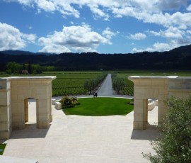 まわりは全部、自分のぶどう畑