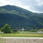 道をへだてて兄弟分のロバート・モンダヴィ・ワイナリー