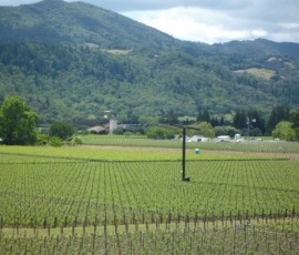大きな扇風機は冬の霜よけ