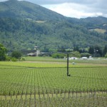 大きな扇風機は冬の霜よけ