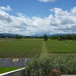 ナパバレーの北を望む