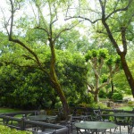 緑に囲まれた庭園