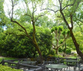 緑に囲まれた庭園