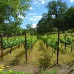 まわりにはお花もいっぱい