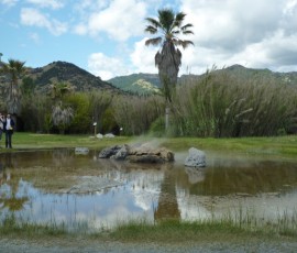 ナパバレー北端のカリストーガには間欠泉が