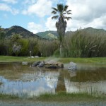 ナパバレー北端のカリストーガには間欠泉が