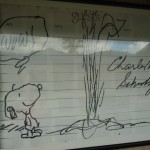 スヌーピーの作者チャールズ・シュルツさんもびっくり