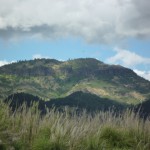 あちらの山の断崖「パリセイズ(Palisades)」がすごいです