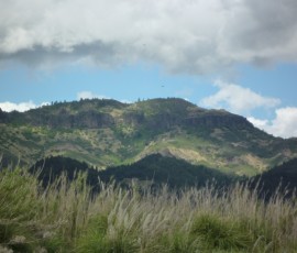 あちらの山の断崖「パリセイズ(Palisades)」がすごいです