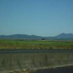 というわけで、ナパバレーにもさようなら