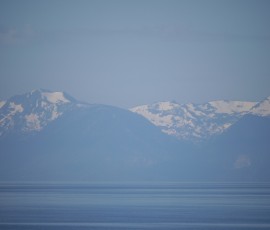 北向きの斜面には雪がたっぷり